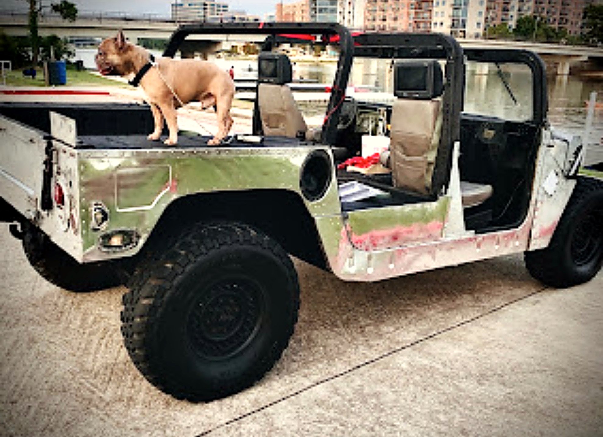 Open-air LuxeHaus HMMWV at the waterfront — French bulldog on the bed